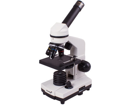 Купите школьный цифровой микроскоп Levenhuk Rainbow D2L 0,3 Мпикс, Moonstone\Лунный камень в интернет-магазине