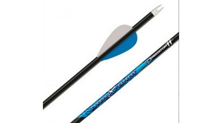 купите Стрела для лука Carbon Express Maxima Blue Streak 350 Blazer Vanes (6 штук) в Краснодаре